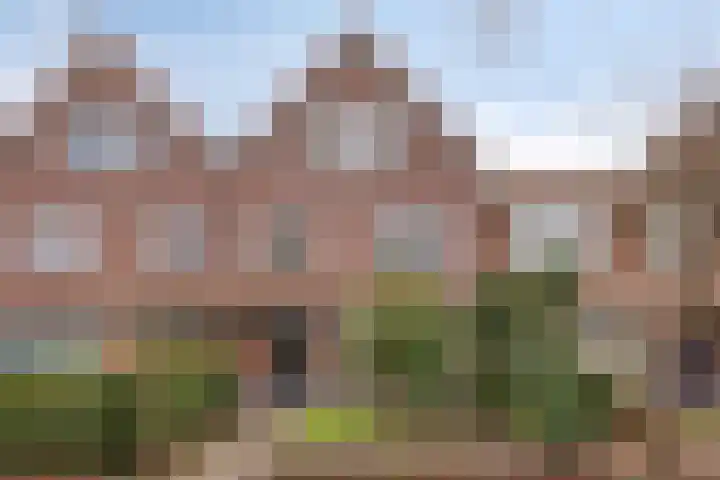 Dr. Colijnstraat 113 Veenendaal thumbnail 6