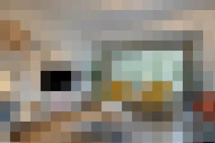 Dr. Colijnstraat 113 Veenendaal thumbnail 9