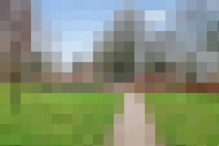 Dr. Colijnstraat 15 C Veenendaal thumbnail 43