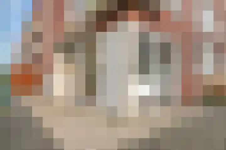 Dr. Colijnstraat 15 C Veenendaal thumbnail 6
