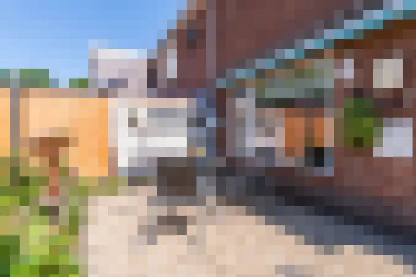 Dr. Colijnstraat 18 Veenendaal thumbnail 34