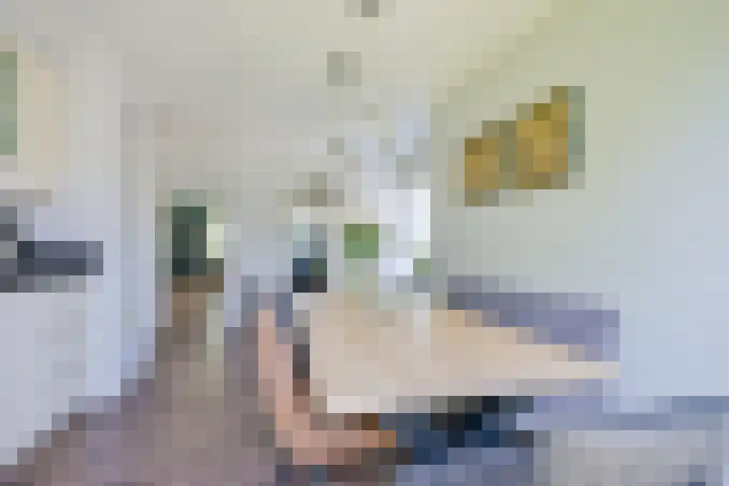 Dr. Colijnstraat 2 Middenmeer thumbnail 18