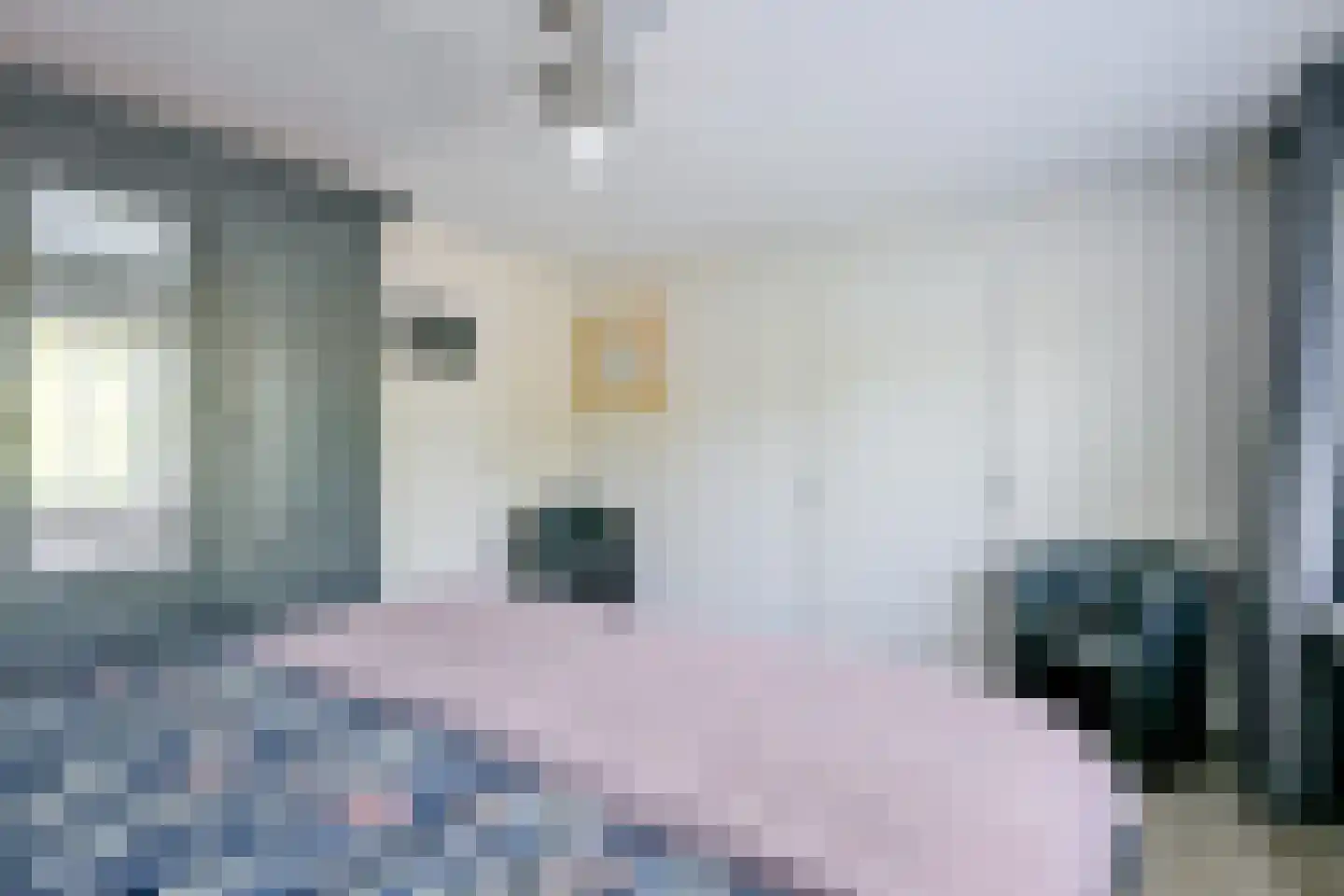 Dr. Colijnstraat 2 Middenmeer thumbnail 26