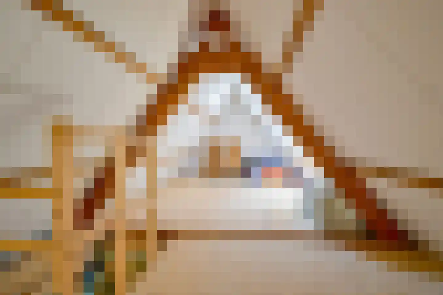 Dr. Colijnstraat 2 Middenmeer thumbnail 35
