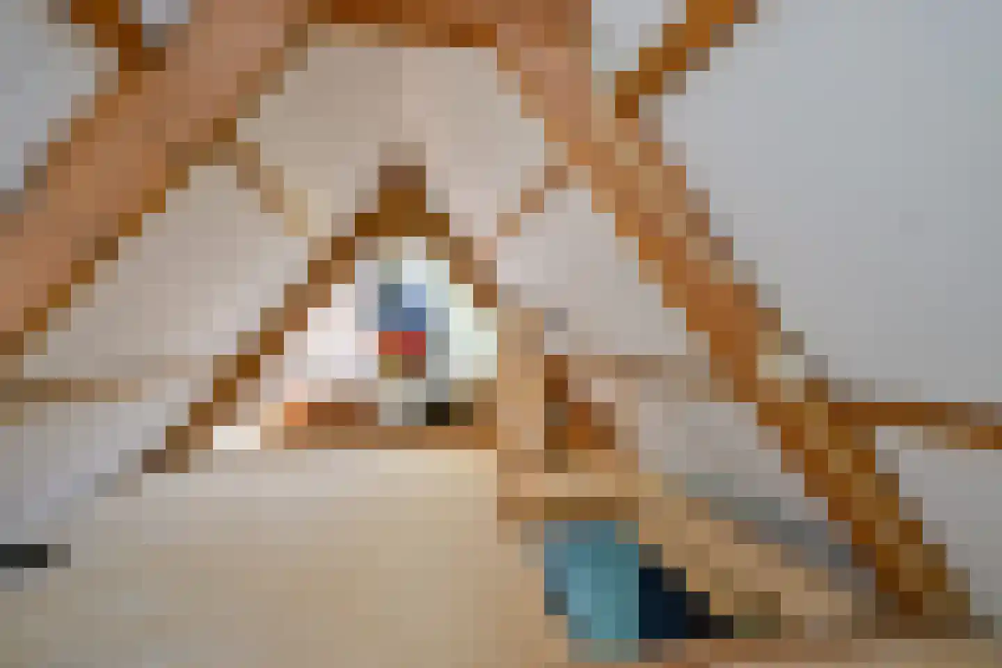 Dr. Colijnstraat 2 Middenmeer thumbnail 36
