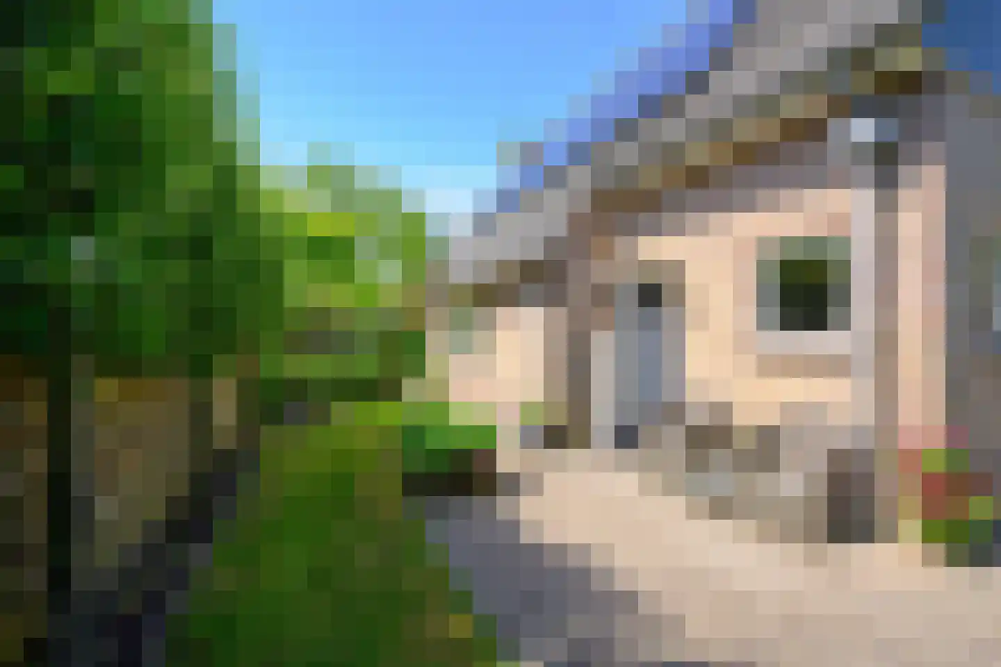 Dr. Colijnstraat 2 Middenmeer thumbnail 39