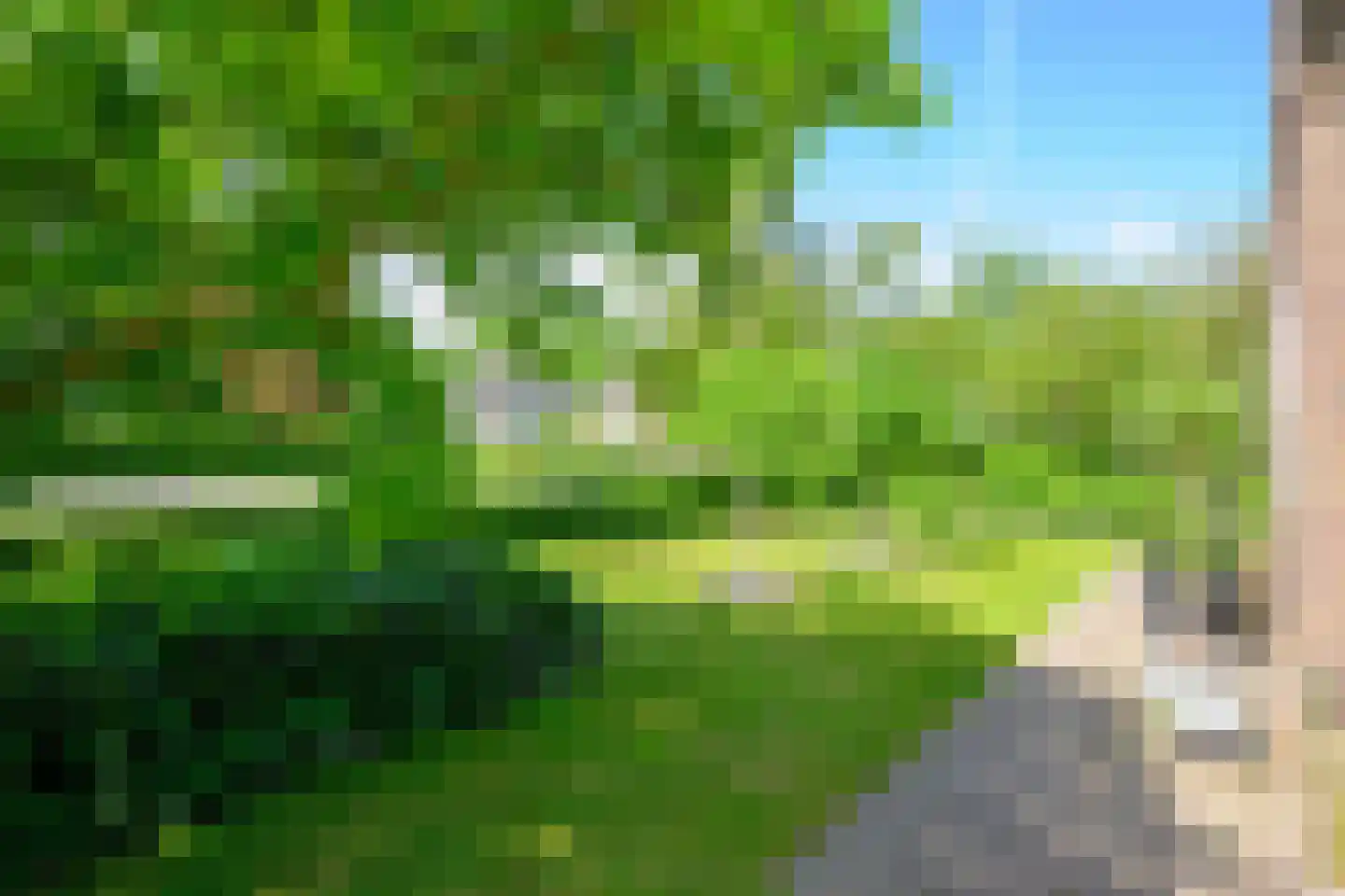 Dr. Colijnstraat 2 Middenmeer thumbnail 45
