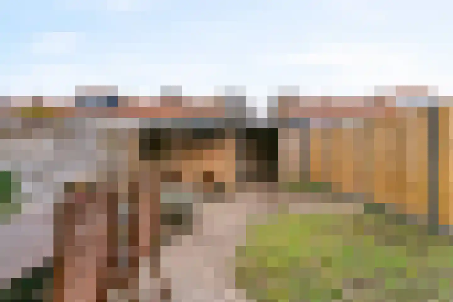 Dr. Colijnstraat 24 Middenmeer thumbnail 27