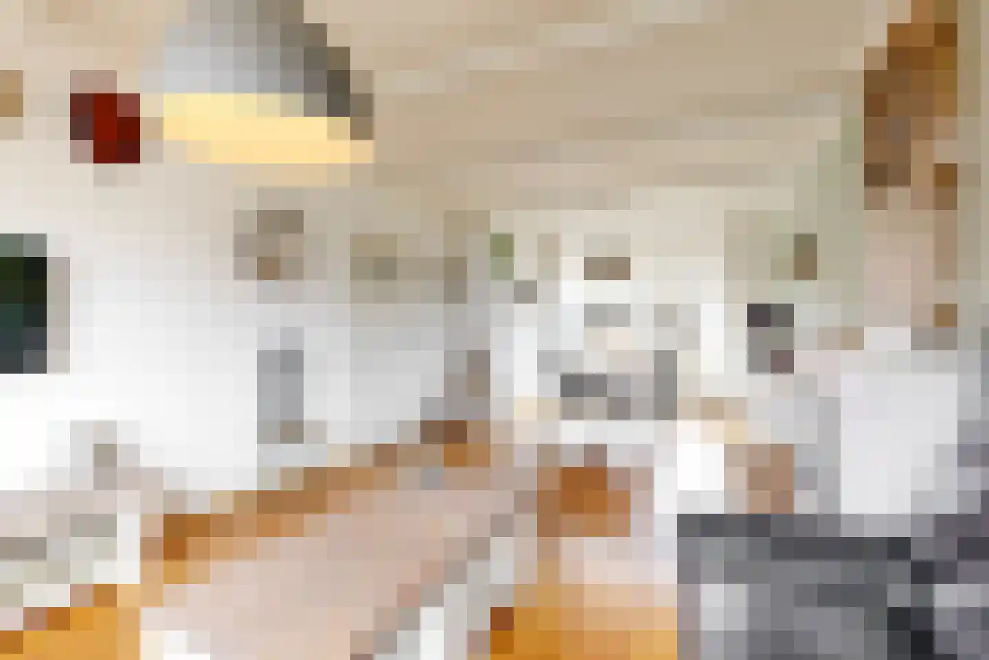Dr. Colijnstraat 24 Middenmeer thumbnail 5