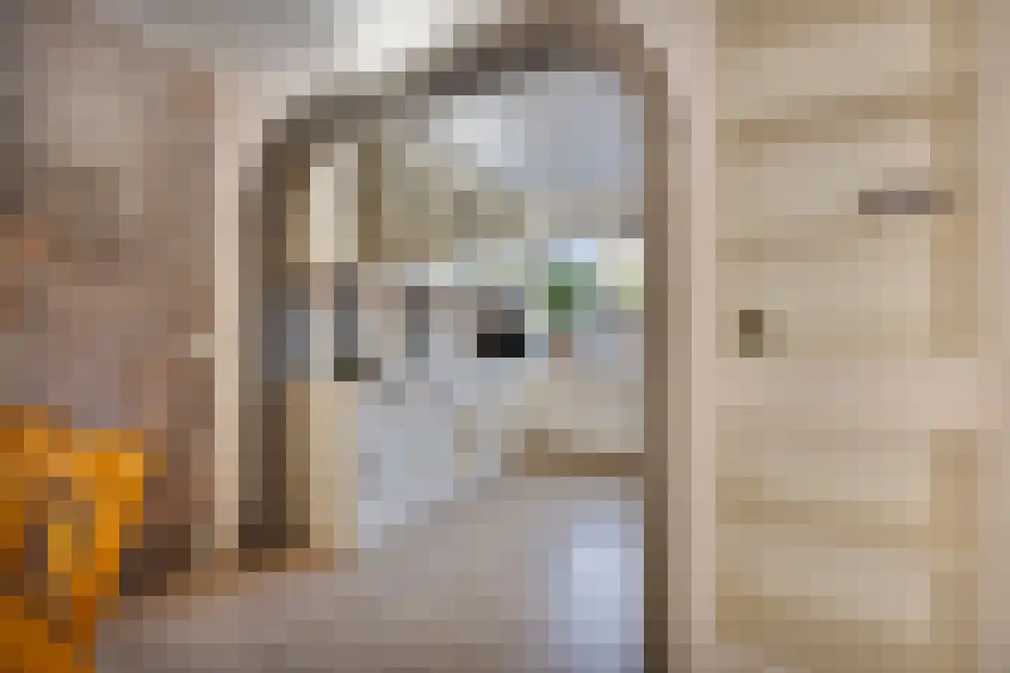 Dr. Colijnstraat 31 Middenmeer thumbnail 11