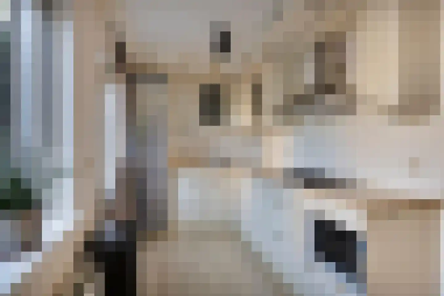 Dr. Colijnstraat 31 Middenmeer thumbnail 12