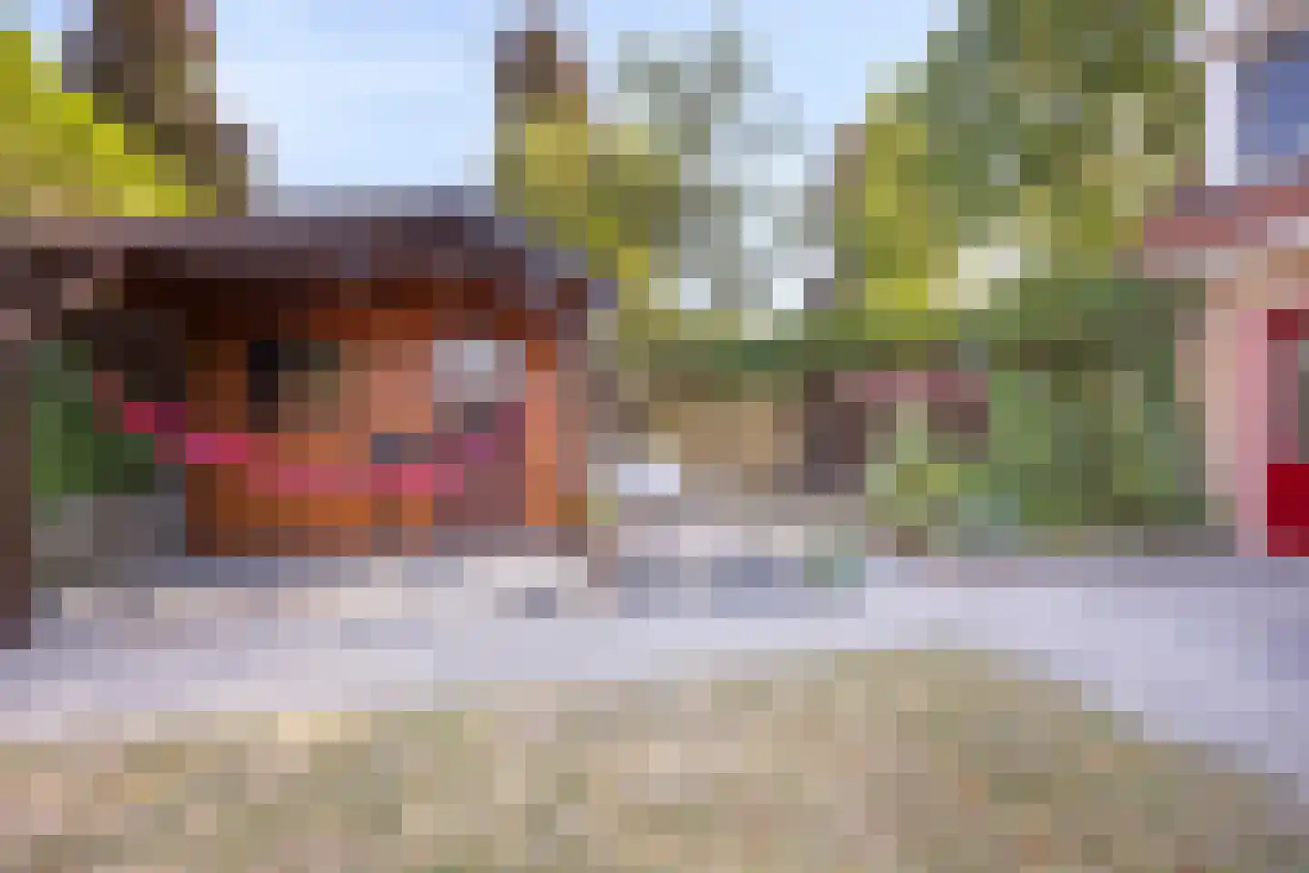 Dr. Colijnstraat 31 Middenmeer thumbnail 29