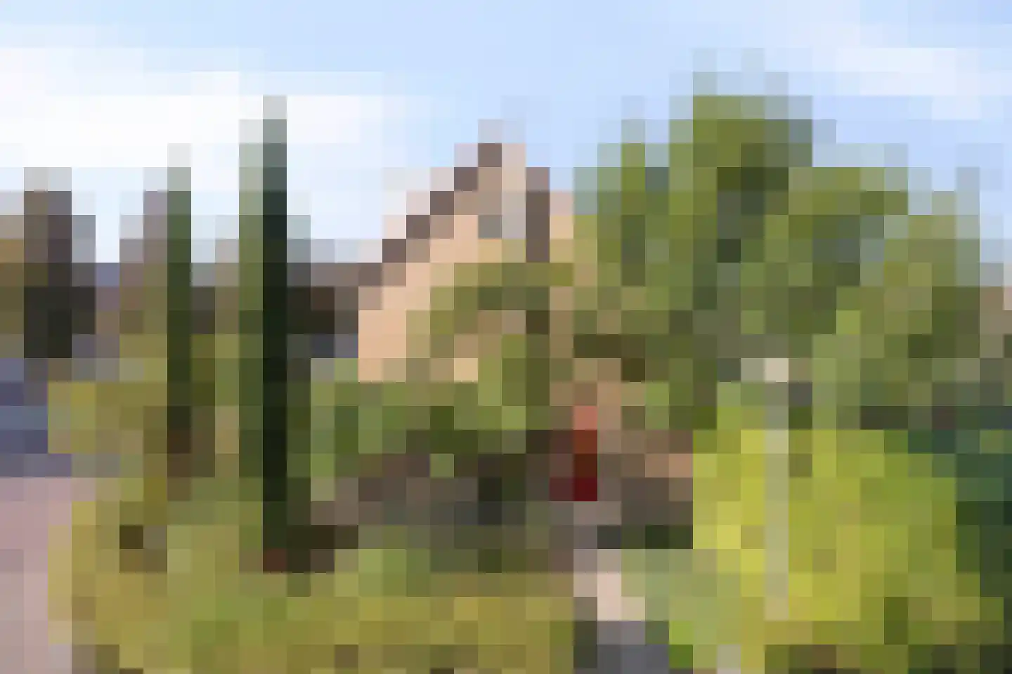 Dr. Colijnstraat 31 Middenmeer thumbnail 4