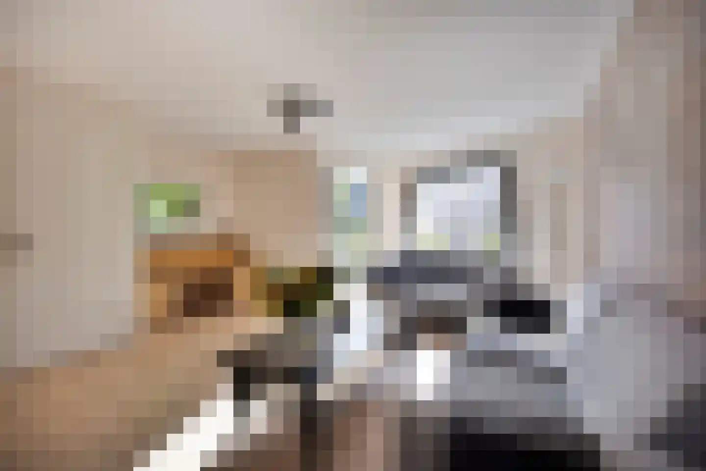 Dr. Colijnstraat 31 Middenmeer thumbnail 7