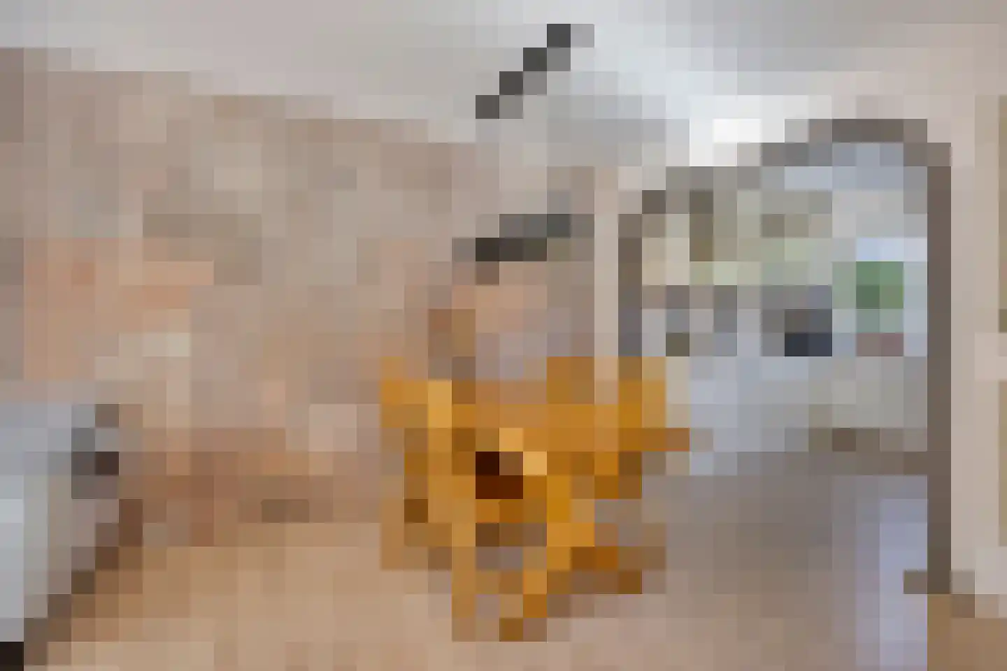 Dr. Colijnstraat 31 Middenmeer thumbnail 9