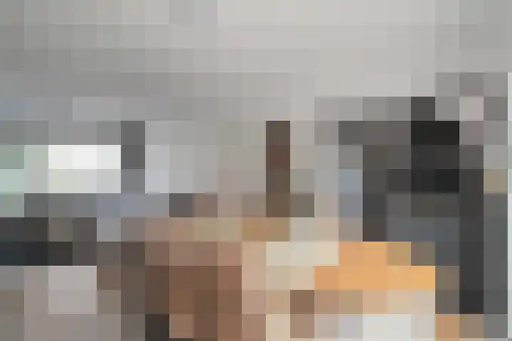 Dr. Colijnstraat 34 Middenmeer thumbnail 11