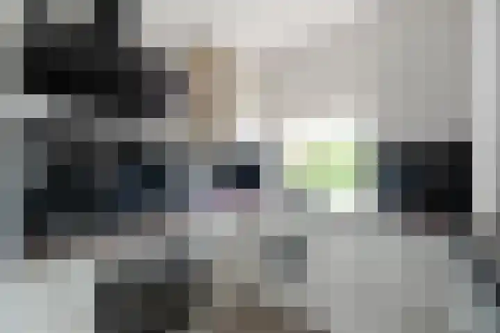 Dr. Colijnstraat 34 Middenmeer thumbnail 12