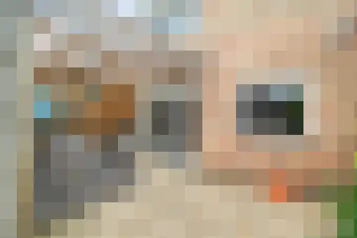 Dr. Colijnstraat 34 Middenmeer thumbnail 22