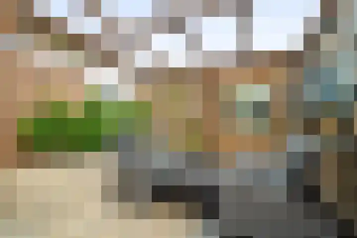 Dr. Colijnstraat 34 Middenmeer thumbnail 4