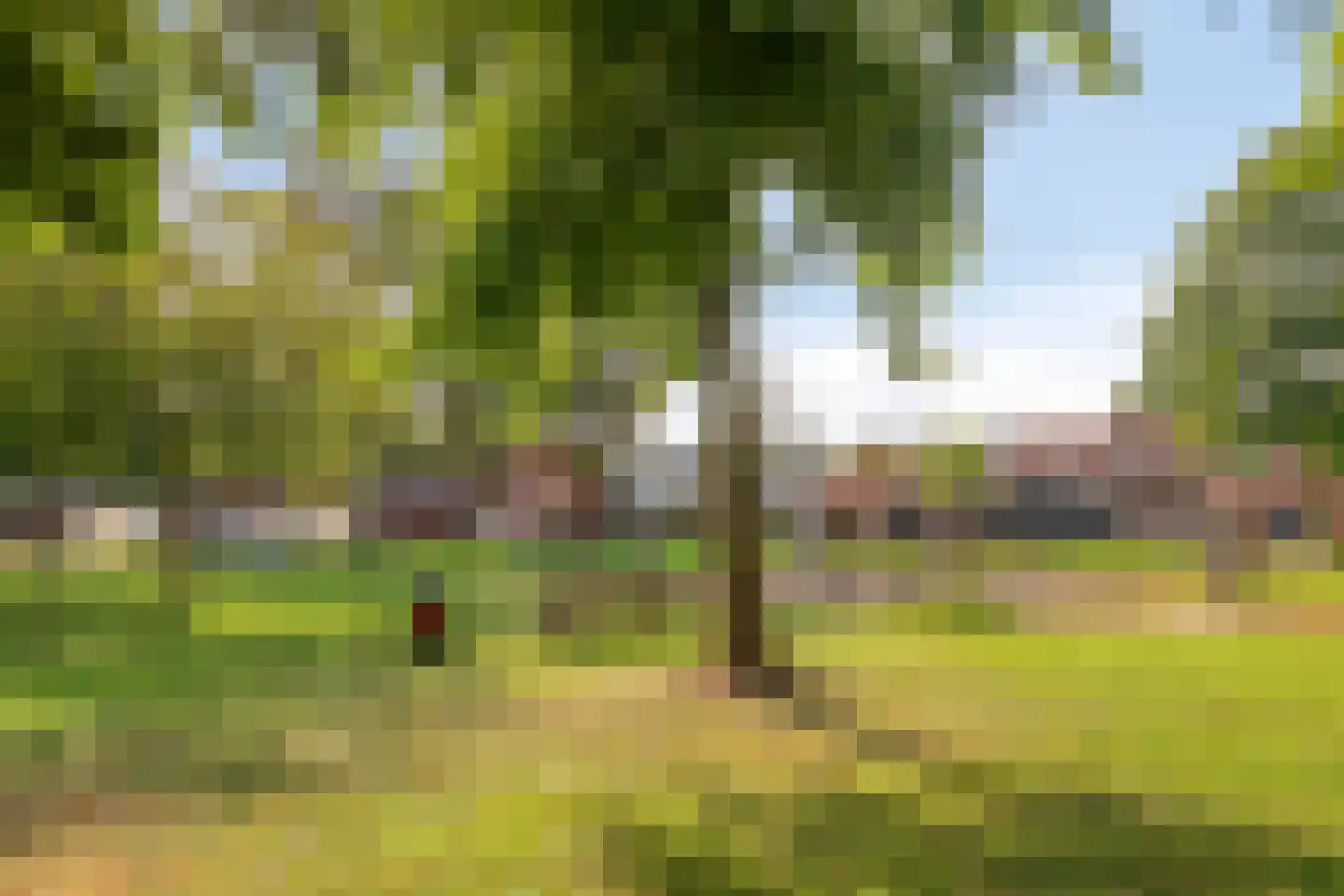 Dr. Colijnstraat 43 Veenendaal thumbnail 31