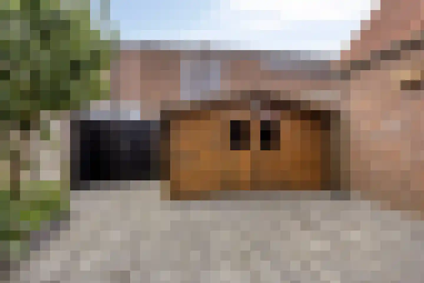 Dr. Colijnstraat 45 Veenendaal thumbnail 22