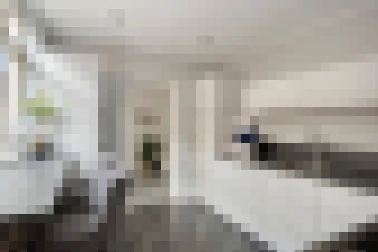 Dr. Colijnstraat 45 Veenendaal thumbnail 9