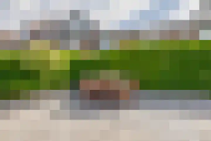 Dr. Colijnstraat 48 Ridderkerk thumbnail 31