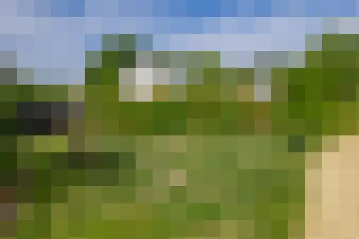 Dr. Colijnstraat 48 Ridderkerk thumbnail 39