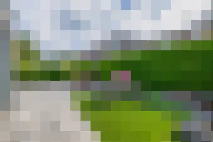 Dr. Colijnstraat 48 Ridderkerk thumbnail 4
