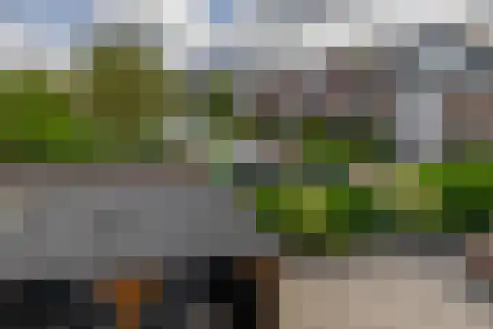 Dr. Colijnstraat 48 Ridderkerk thumbnail 45