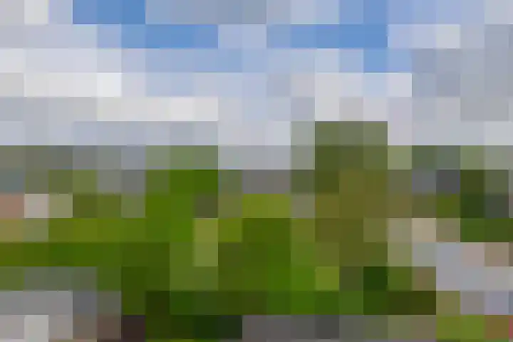 Dr. Colijnstraat 48 Ridderkerk thumbnail 55