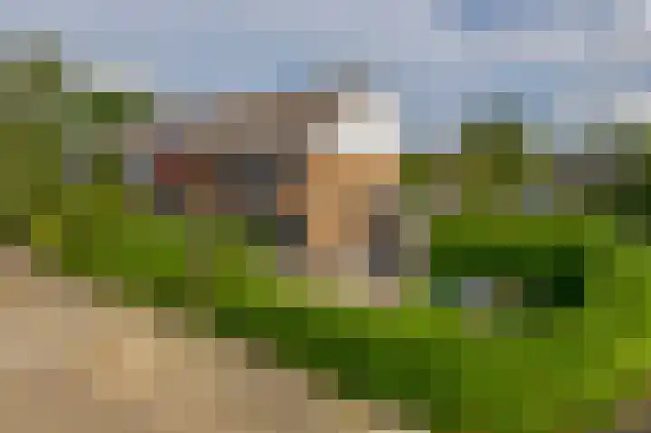 Dr. Colijnstraat 48 Ridderkerk thumbnail 8