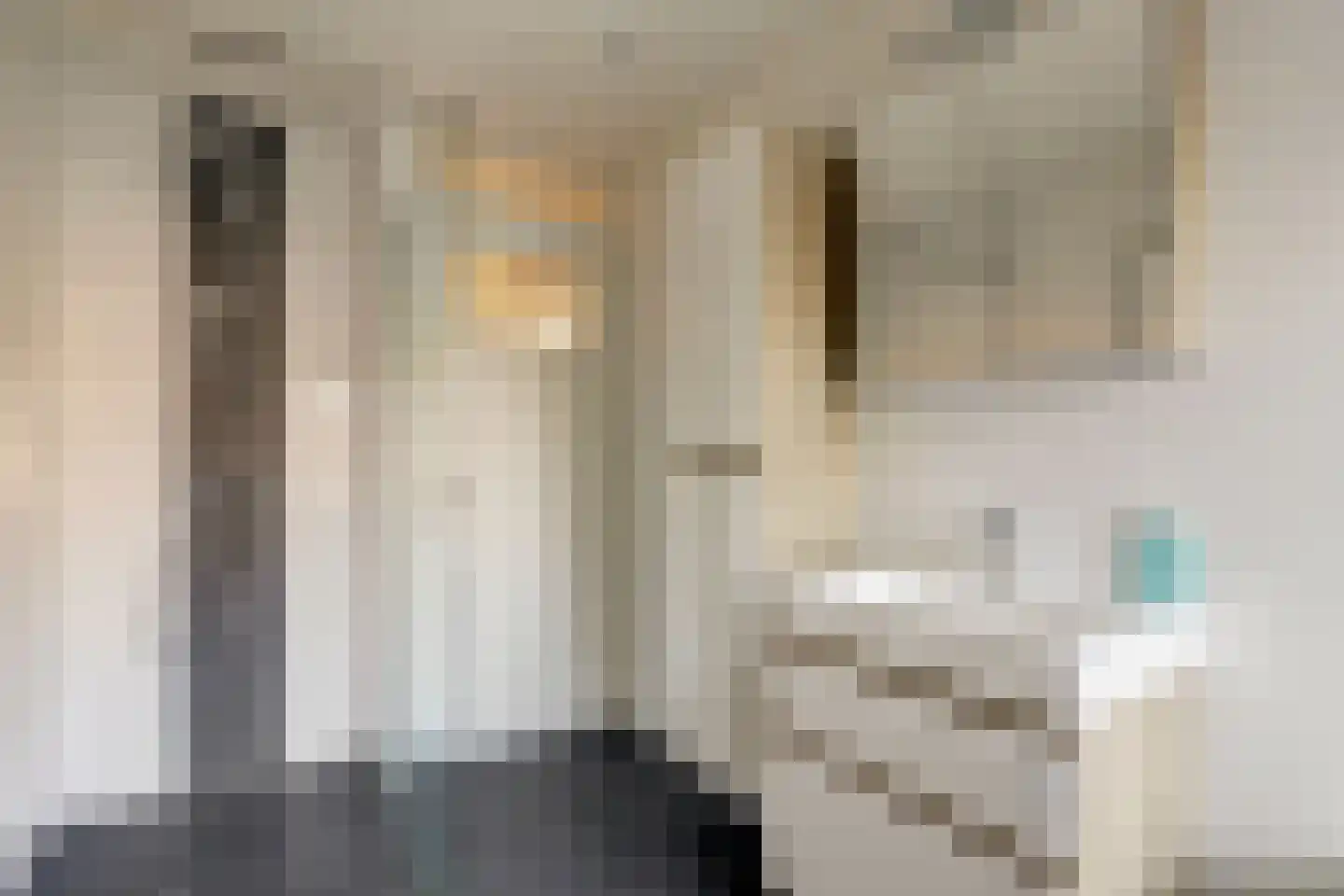 Dr. Colijnstraat 56 Ridderkerk thumbnail 24