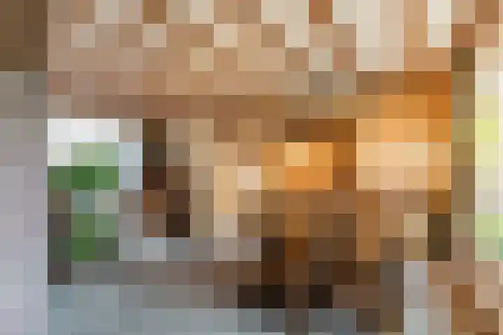 Dr. Cramerstraat 36 Bladel thumbnail 10