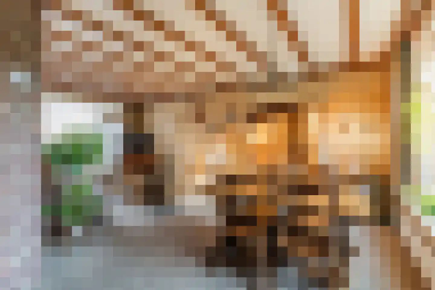 Dr. Cramerstraat 36 Bladel thumbnail 11