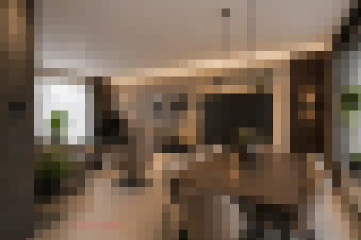 Dr. Cramerstraat 36 Bladel thumbnail 12