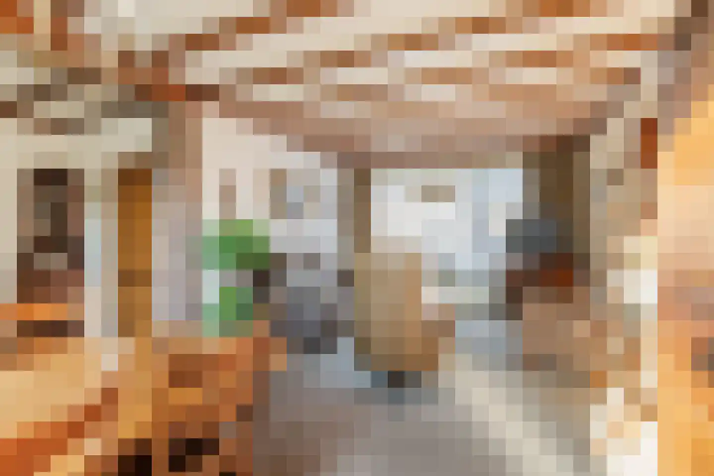 Dr. Cramerstraat 36 Bladel thumbnail 13