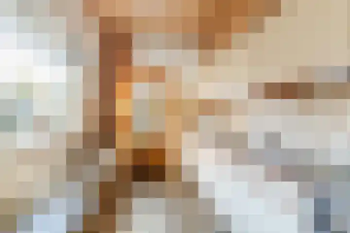 Dr. Cramerstraat 36 Bladel thumbnail 14