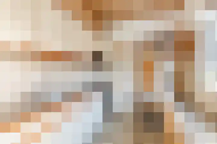 Dr. Cramerstraat 36 Bladel thumbnail 16
