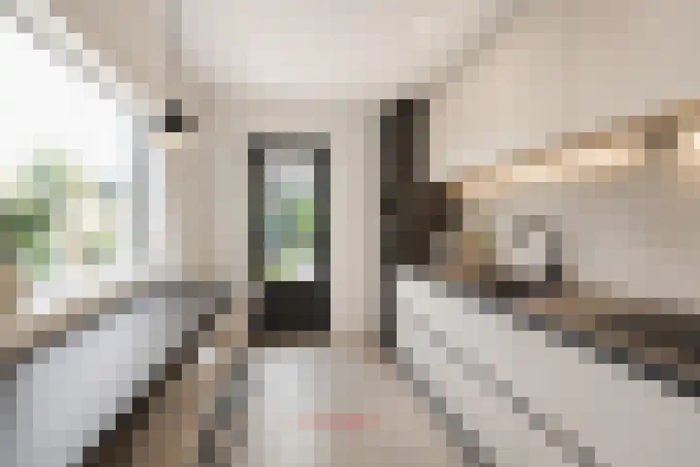 Dr. Cramerstraat 36 Bladel thumbnail 17