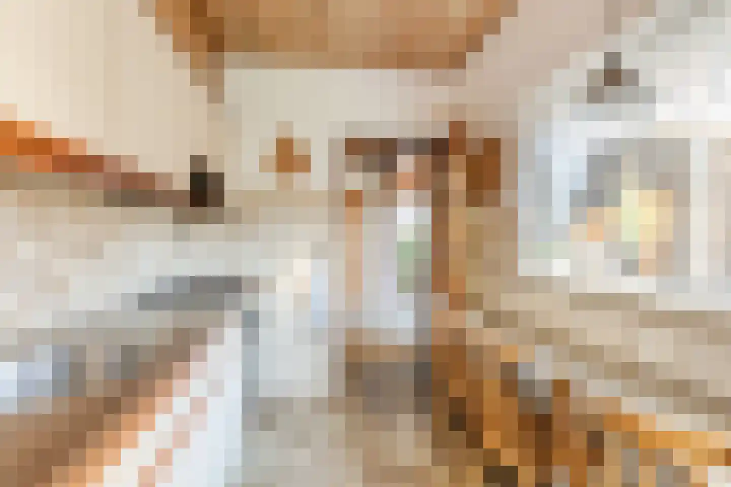Dr. Cramerstraat 36 Bladel thumbnail 18