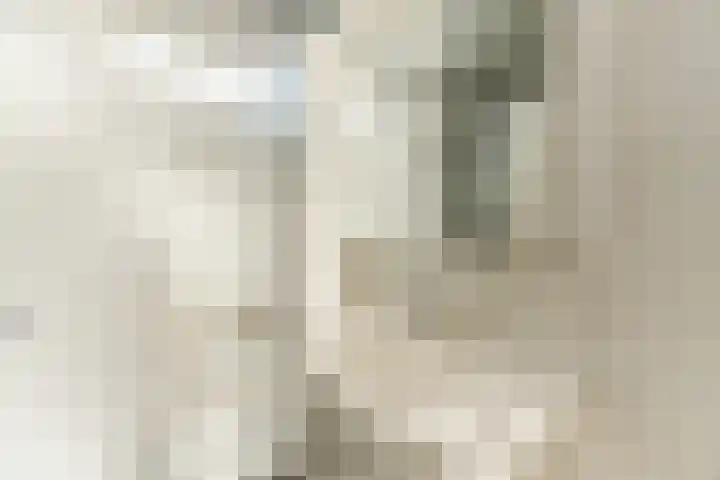 Dr. Cramerstraat 36 Bladel thumbnail 25