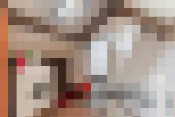 Dr. Cramerstraat 36 Bladel thumbnail 27