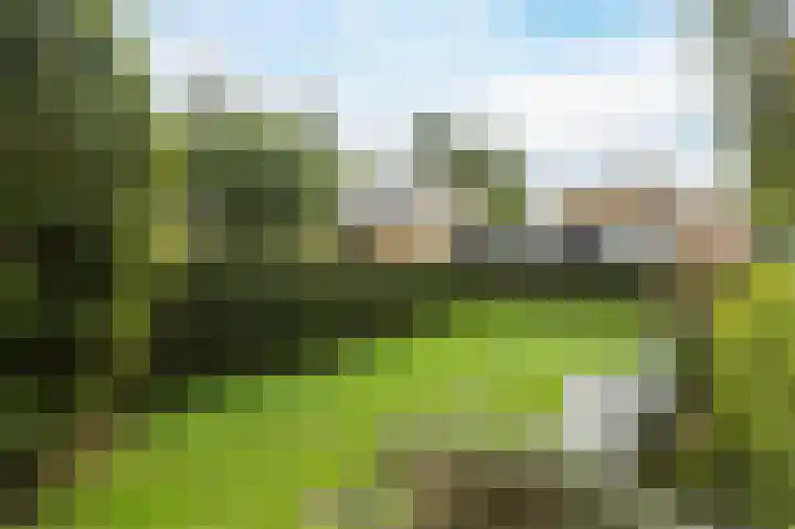 Dr. Cramerstraat 36 Bladel thumbnail 28