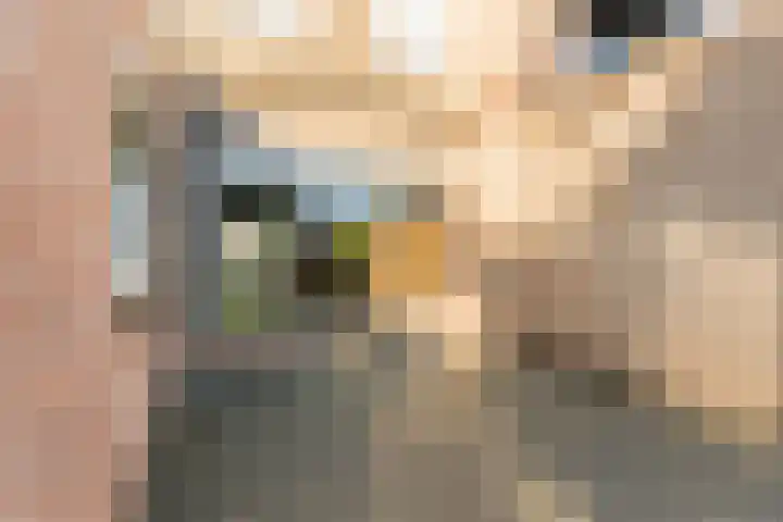 Dr. Cramerstraat 36 Bladel thumbnail 30