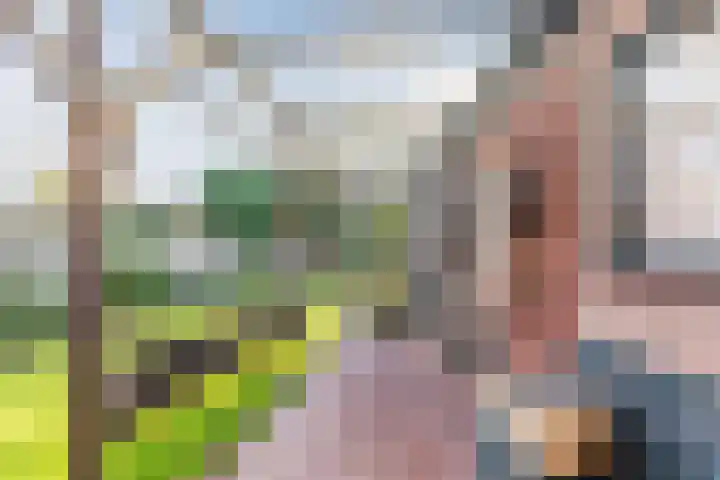 Dr. Cramerstraat 36 Bladel thumbnail 32