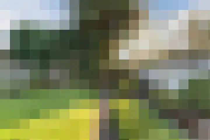 Dr. Cramerstraat 36 Bladel thumbnail 33