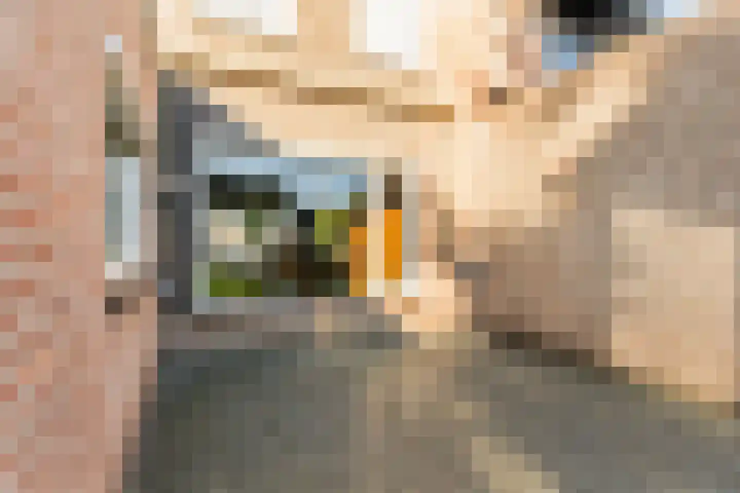 Dr. Cramerstraat 36 Bladel thumbnail 33