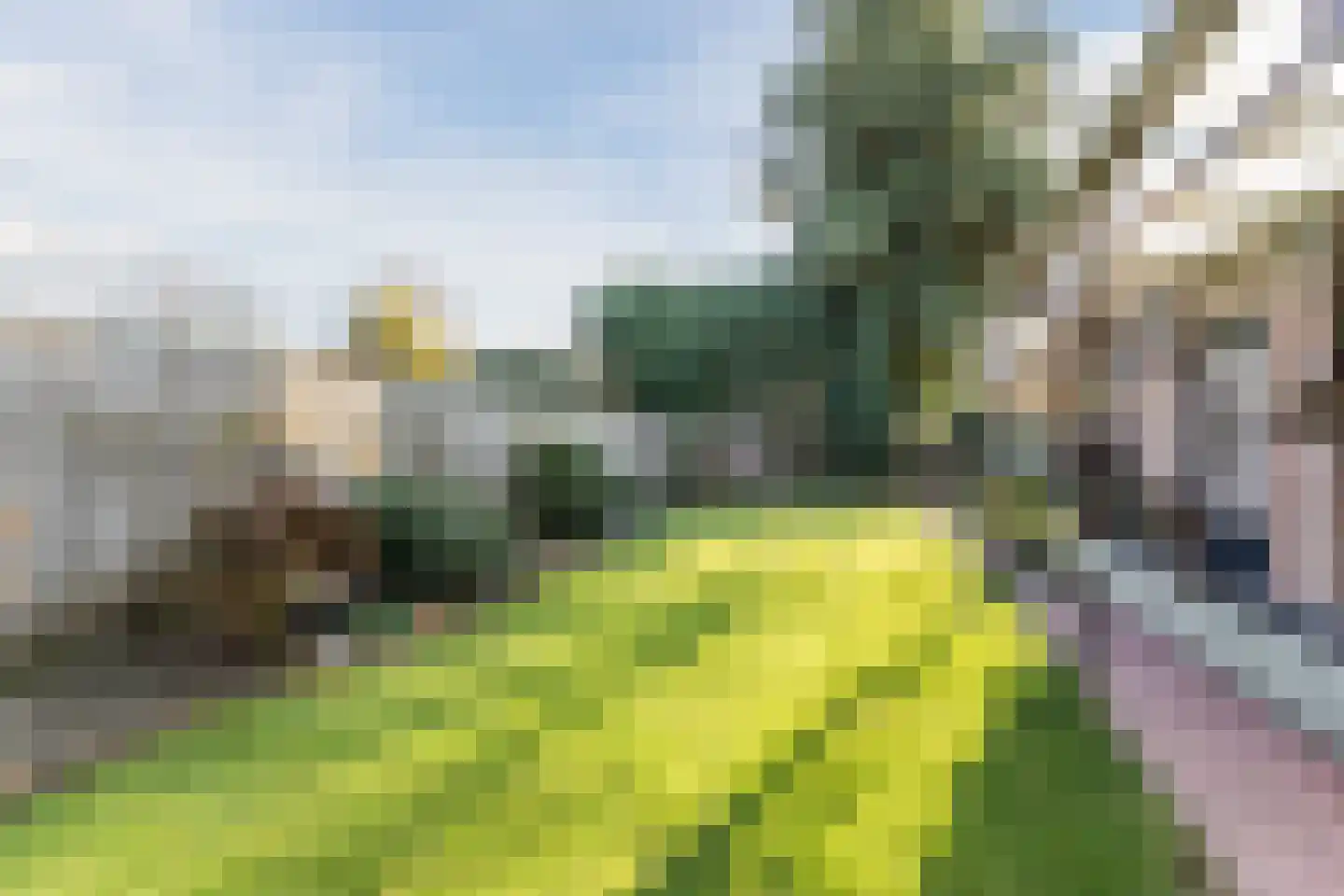 Dr. Cramerstraat 36 Bladel thumbnail 34