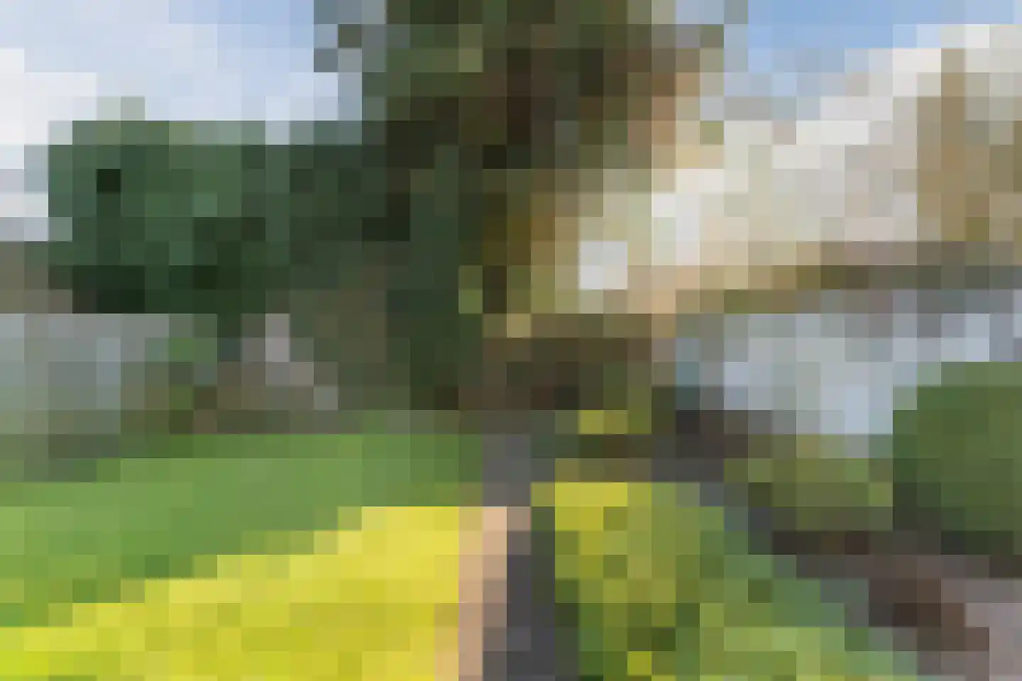 Dr. Cramerstraat 36 Bladel thumbnail 36